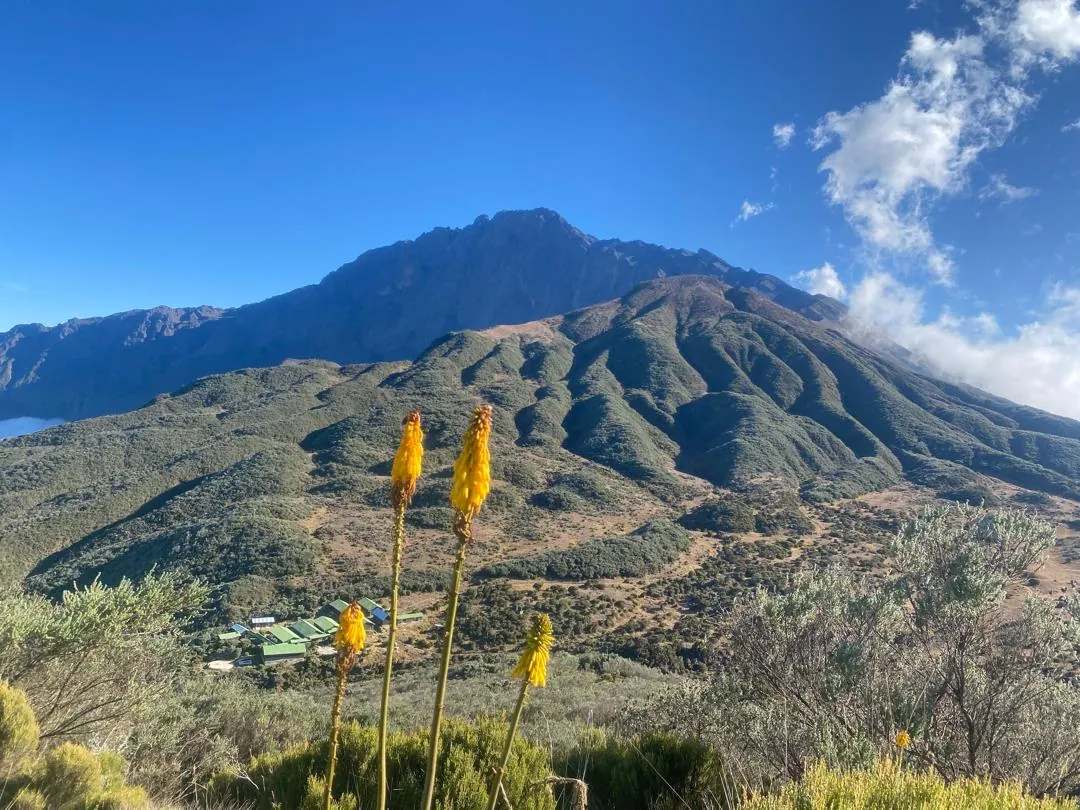 Mount Kilimanjaro trekking landscape